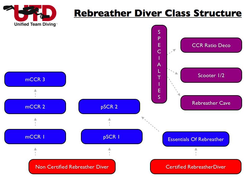 Estructura de cursos Rebreather